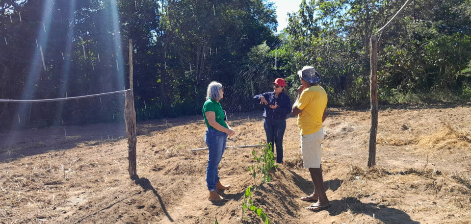 As professoras Susana e Adriana com o Senhor Jorge em campo explicando com plantar e cultivar ora-pro-nóbis (Foto: Arquivo Pessoal)